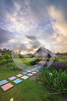 Wonderful Garden View at batam bintan indonesia photo