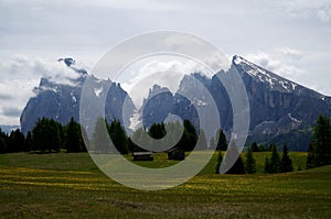 Wonderful idyllic alp and distinctive mountains in south tyrol