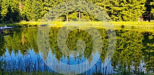 wonderful lake with water reflection