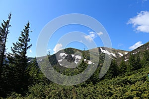 Wonderful landscape of Appenine mountains with fir trees and conifer nature.