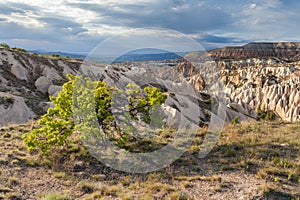 Wonderful landscape of Cappadocia in Turkey near Gereme.