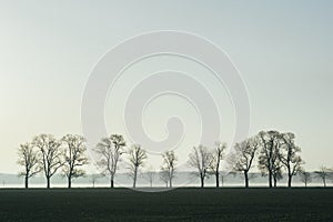 Wonderful landscape with deciduous trees