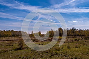 Wonderful landscape in the Drover Heide nature reserve