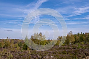 Wonderful landscape in the Drover Heide nature reserve