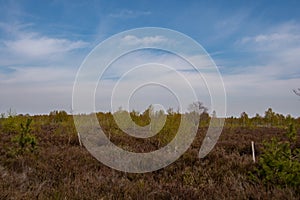 Wonderful landscape in the Drover Heide nature reserve