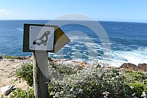 Wonderful landscape with a guidepost with a seal at the hiking trail at Robberg Nature Reserve in Plettenberg Bay, South Africa