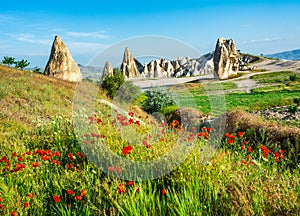 Wonderful landscape with view at fairy chimneys and with flowering poppies in Cappadocia, Anatolia, Turkey. Volcanic mountains in