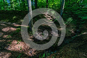 Premium hiking trail Seegang on Lake Constance photo