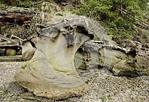 Wonderful Mushroom Rock in Montague harbour, Galiano Island.Canada