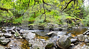 Wonderful natural landscape at Strone Hill Forestry