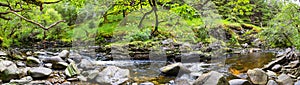 Wonderful natural landscape at Strone Hill Forestry