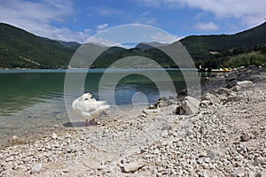 Wonderful panorama of the lake of Scanno with ducks photo