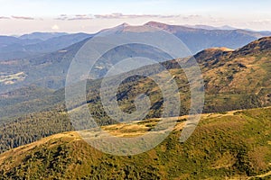 Wonderful panoramic view of Carpathians mountains, Ukraine. Mount Hoverla, Carpathians. Evergreen hills landscape with clear sky.