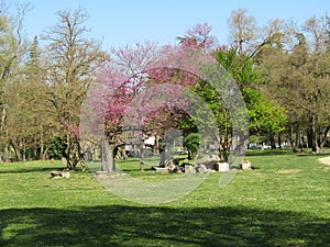 Wonderful park in Casalecchio di Reno in Bologna in Italy