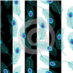 Wonderful pattern with peacock feathers on a white background with black stripes. Seamless pattern.