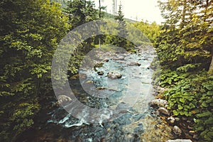 Valley landscape. Flowing river. The Tatras.