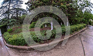 A wonderful picturesque park. Lots of vegetation and a lake with ducks. Fountain, firs, arborvitae, wild grapes.