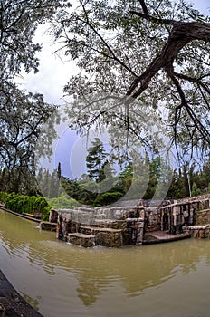 A wonderful picturesque park. Lots of vegetation and a lake with ducks. Fountain, firs, arborvitae, wild grapes.