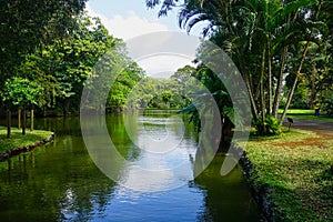 wonderful pond in a park