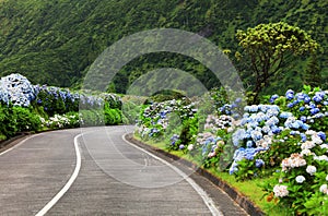 Wonderful road in Sao Miguel Island