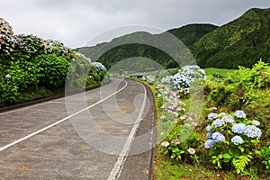 Wonderful road in Sao Miguel Island photo