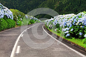 Wonderful road in Sao Miguel Island photo