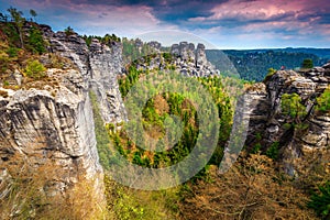 Wonderful rock formations in the spring forest, Bastei, Germany