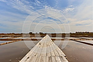 Wonderful Salt mine - Aveiro - Portugal