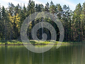 Wonderful scenery with a lake on a sunny summer day, tree silhouettes, blue skies with clouds reflected in calm water