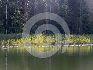 Wonderful scenery with a lake on a sunny summer day, tree silhouettes, blue skies with clouds reflected in calm water