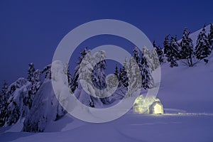 Wonderful scenery with snow igloo at night