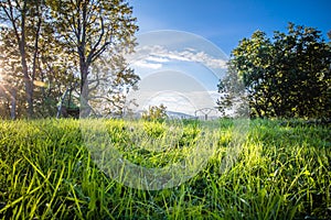 Wonderful scenic green landscape with meadow and trees in blue sky, change of seasons, last shades of summer in warm november