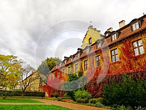 Wonderful shot of a castle in  autumn Park Oliwski, Gdansk, Poland photo