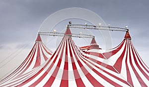 The wonderful spectacle of the circus