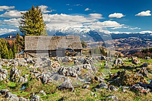 Wonderful spring rural landscape with snowy mountains in background, Romania