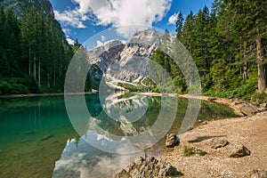 Wonderful summer scenery on Braies Lake Lago di Braies and larch trees with reflection in the water. Fanes-Sennes-Prags Fanes-S