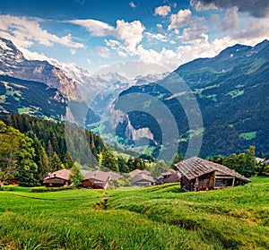 Wonderful summer view of Wengen village. Stunning mornig scene of Swiss Alps