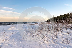 a wonderful sunny winter day, trees covered with white frost and grass stalks in the fields, a charming white winter fairy tale