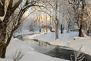 a wonderful sunny winter day, trees covered with white frost, a small river