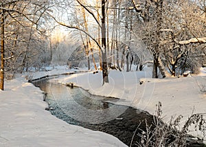 a wonderful sunny winter day, trees covered with white frost, a small river