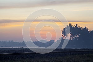 Wonderful sunrise above tropical palm jungle