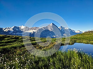 Wonderful sunrise at the Bachsee above Grindelwald. Fantastic views of the mountains and glaciers. Fiescherhorn. Lake