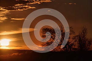 A wonderful sunset on the Prairie near a soul tree