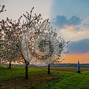 Wonderful sunset on a spring evening in April on the Dutch and Belgium border between Maastricht and Vroenhoeven