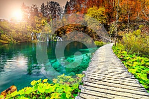 Wonderful tourist pathway in colorful autumn forest, Plitvice lakes, Croatia photo