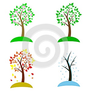 A wonderful tree concept in different seasons on a