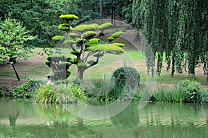 Oriental park with wunderful trees