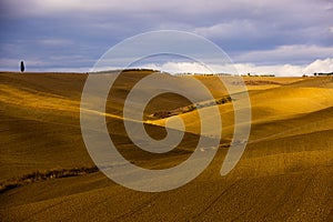 Wonderful Tuscan fields in autumn - beautiful Tuscany Italy