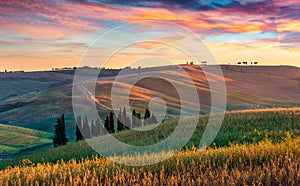Wonderful tuscanian view with field of wheat. Marvelous summer sunrise of Italian countryside. Traveling concept background, Italy