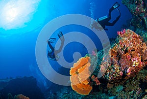 Wonderful underwater world with scuba divers on coral reef and a